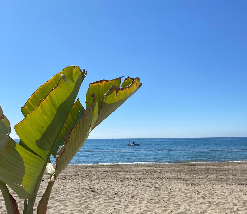 Jardines De Las Golondrinas Marbella With Sea Views Exteriör bild
